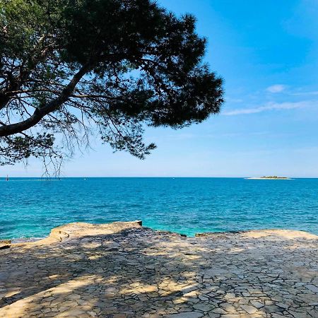 App Fiorela Porec Exterior photo